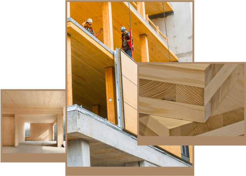 ন্যান্টং ইউয়েলুও হোম ফার্নিশিংস কোং, লিমিটেড